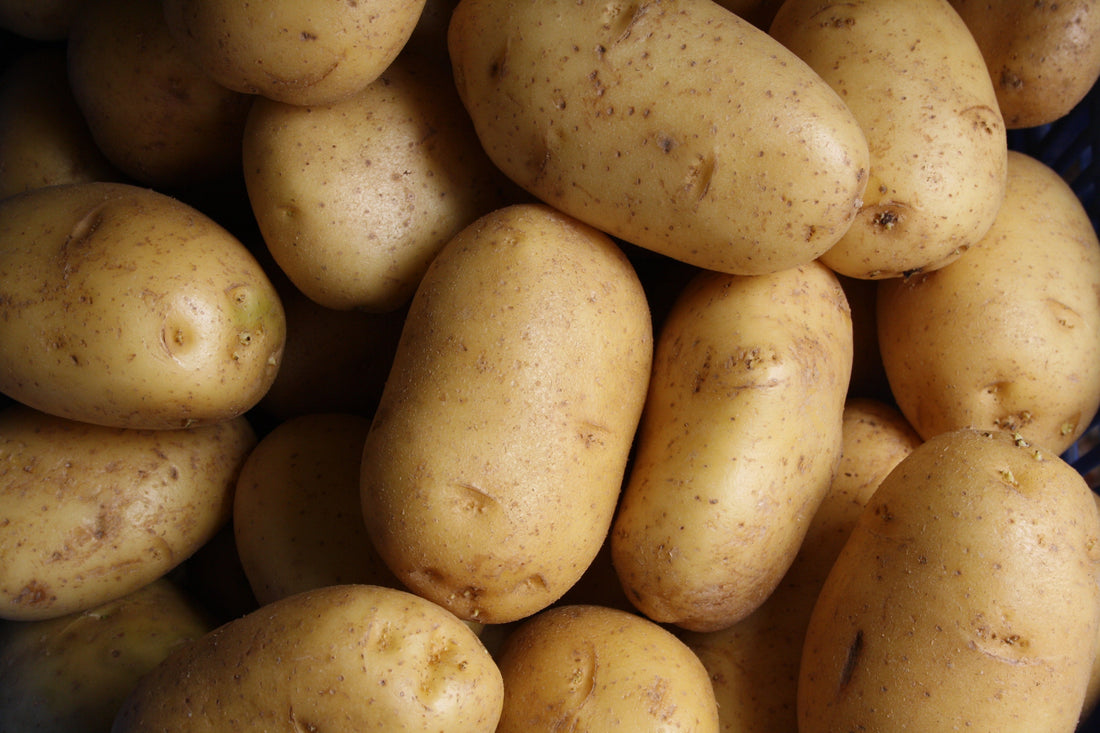 Potato Dauphinoise